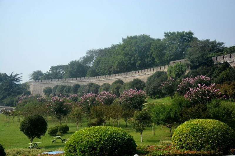 15yangzi_5480r.jpg