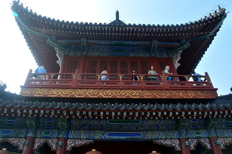 15yangzi_5491r.jpg