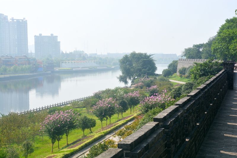 15yangzi_5547r.jpg